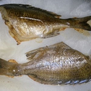 オーブンで チヌ 黒鯛 の塩焼き レシピ 作り方 By V るん 0394 楽天レシピ オーブンで チヌ 黒鯛 の塩焼き レシピ 作り方 By V るん 0394 楽天レシピ